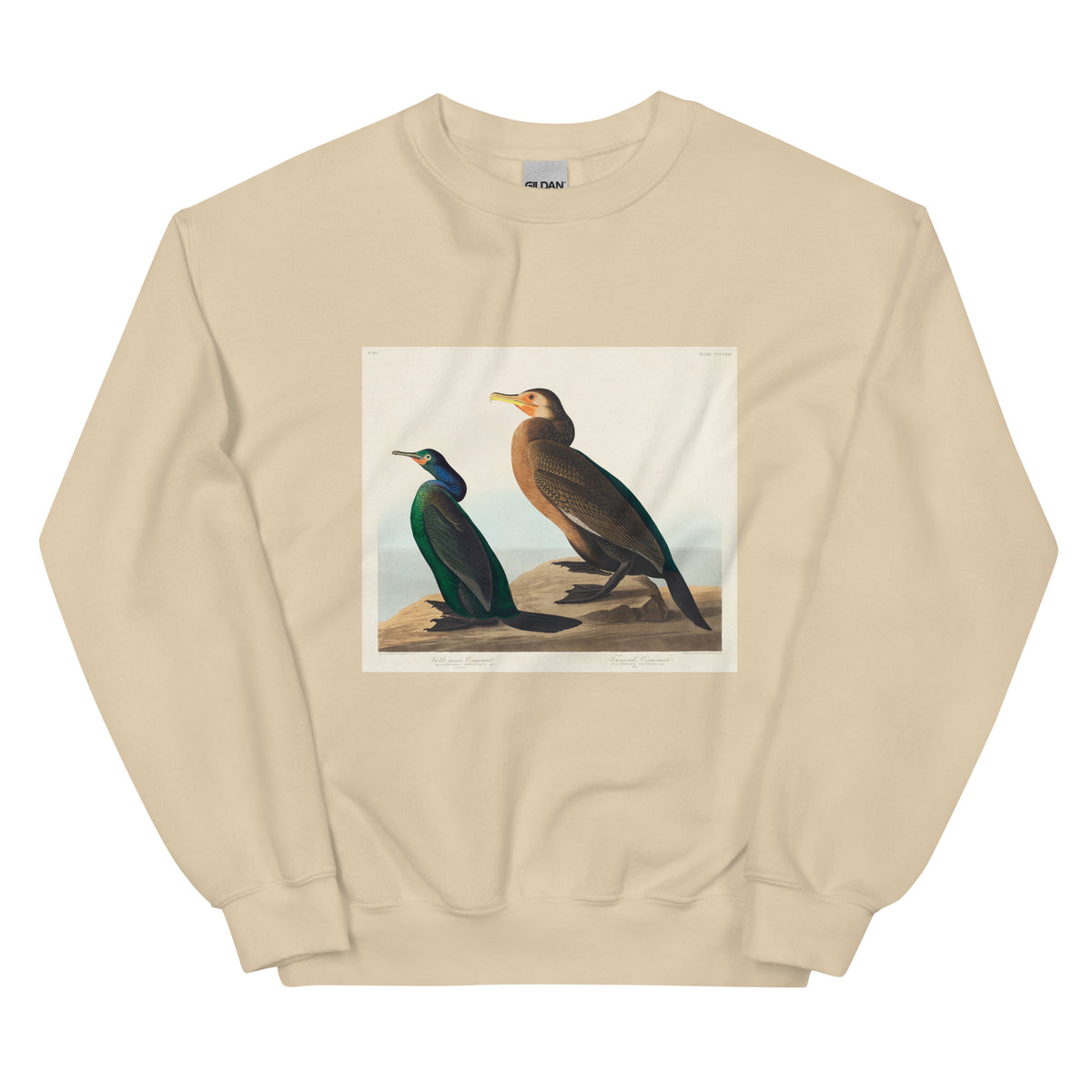 Sand Sweater Violet-Green Cormorant And Townsend S Cormorant - John James Audubon 1827 Essential