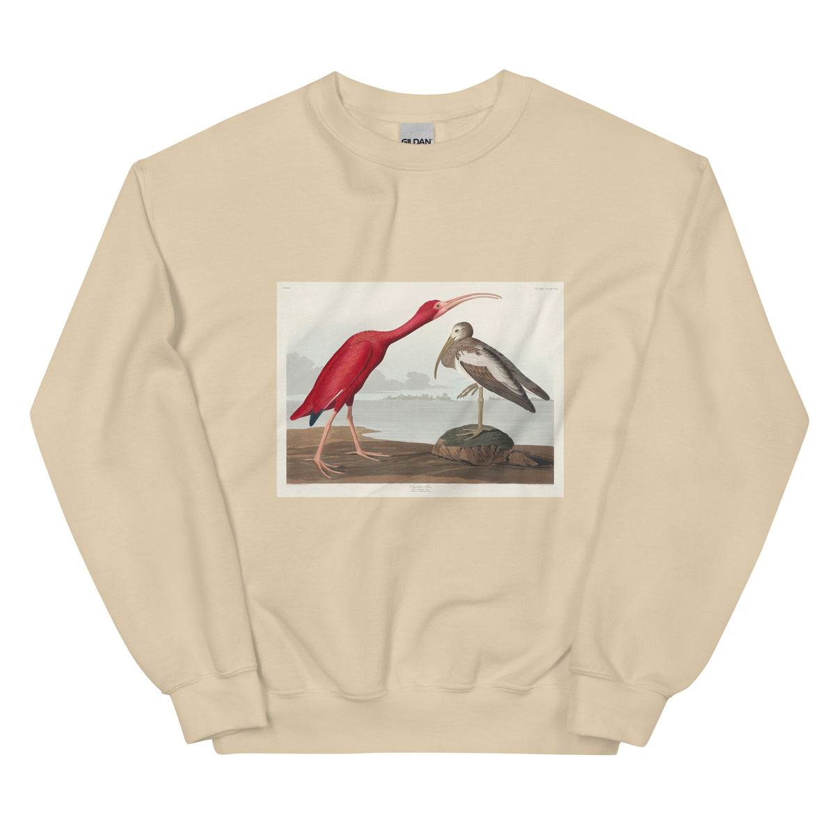 Sand Sweater Scarlet Ibis - John James Audubon 1827 Essential