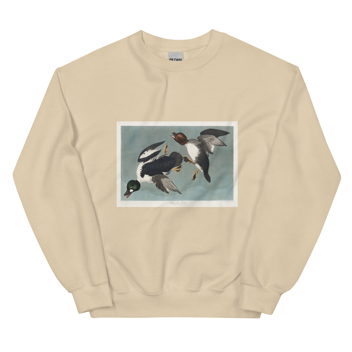 Sand Sweater Golden-Eye Duck Essential