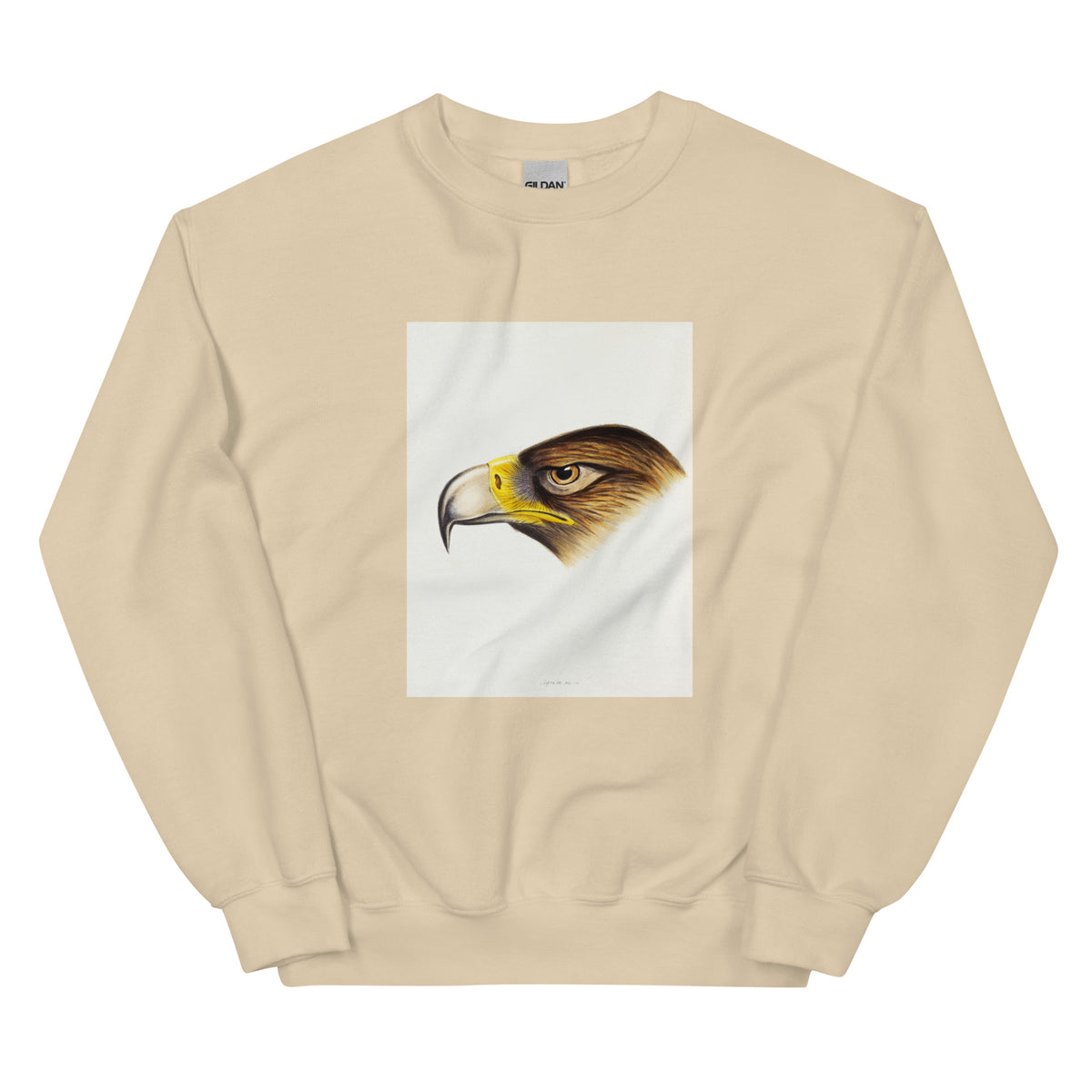 Sand Sweater Wedge-Tailed Eagle Aquila Fucosa Illustrated Essential