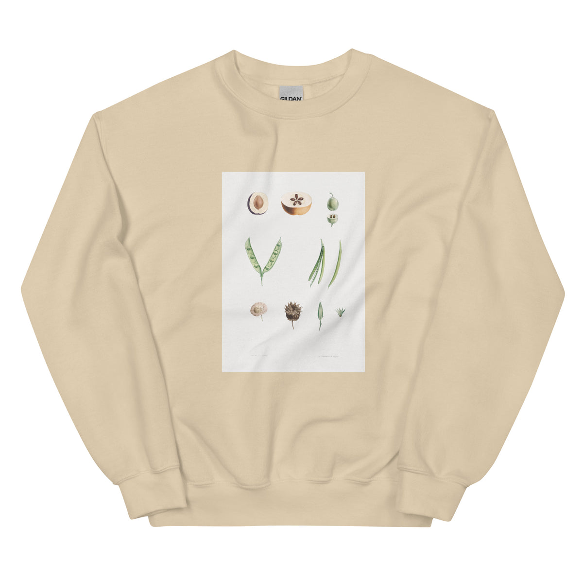Sand Sweater Plants Part - Pierre-Joseph Redoute 1759 Essential