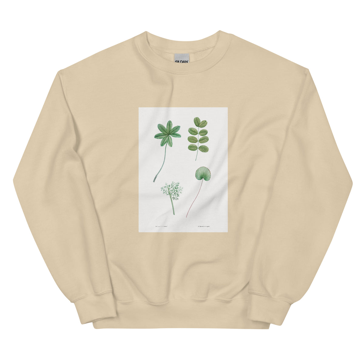 Sand Sweater Tree Leaf Set - Pierre-Joseph Redoute 1759 Essential
