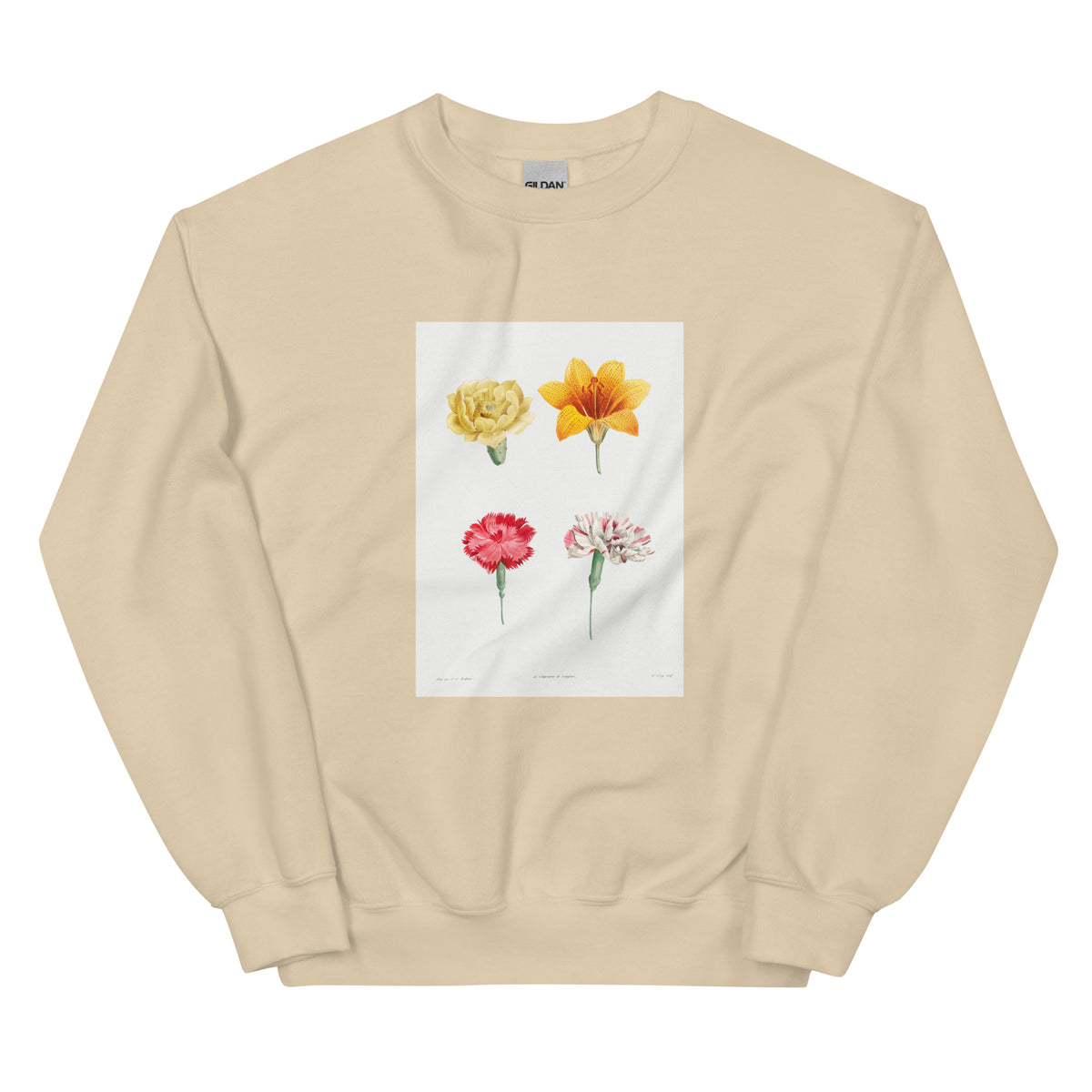 Sand Sweater Flower Set - Pierre-Joseph Redoute 1759 Essential