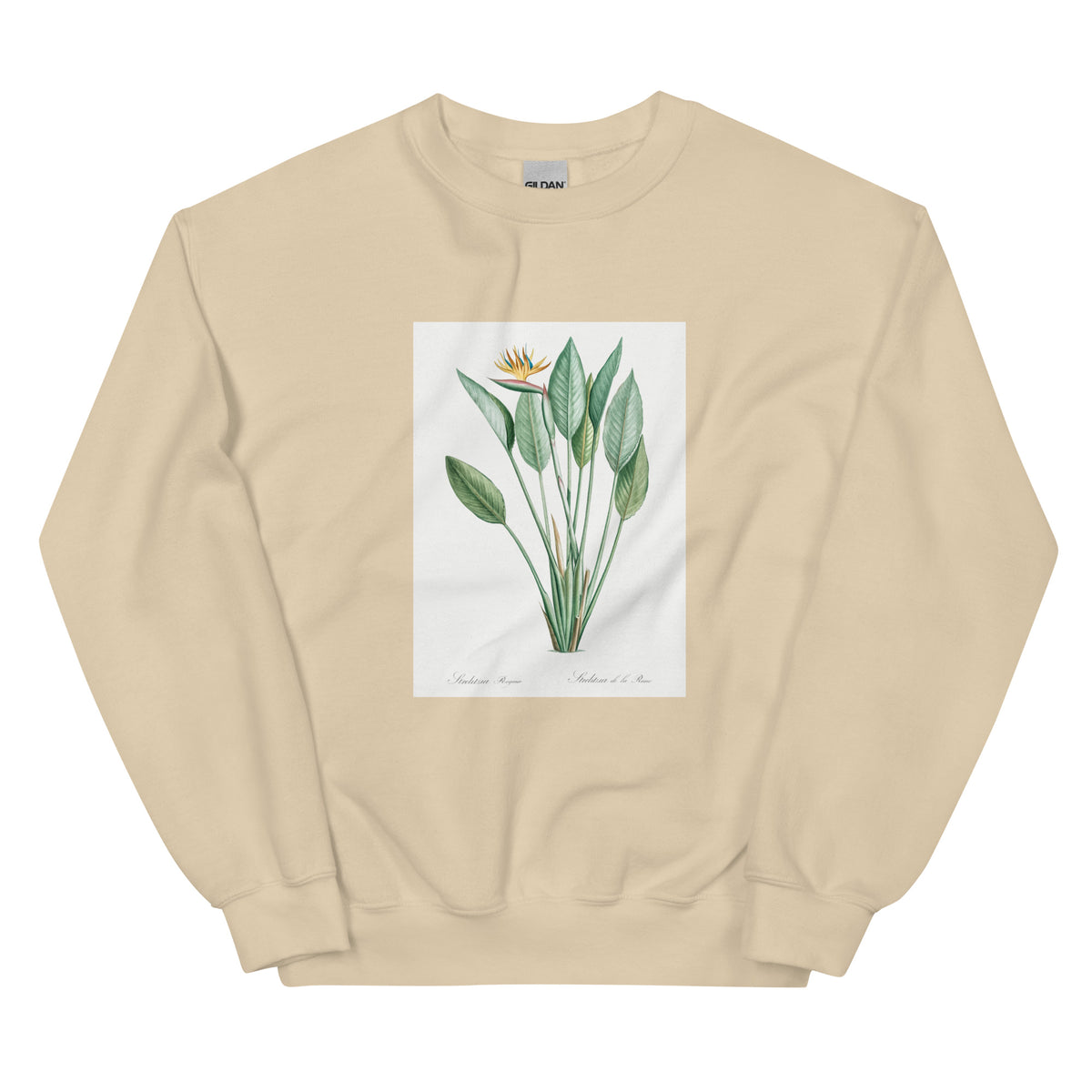 Sand Sweater Bird Of Paradise Illustration II Essential