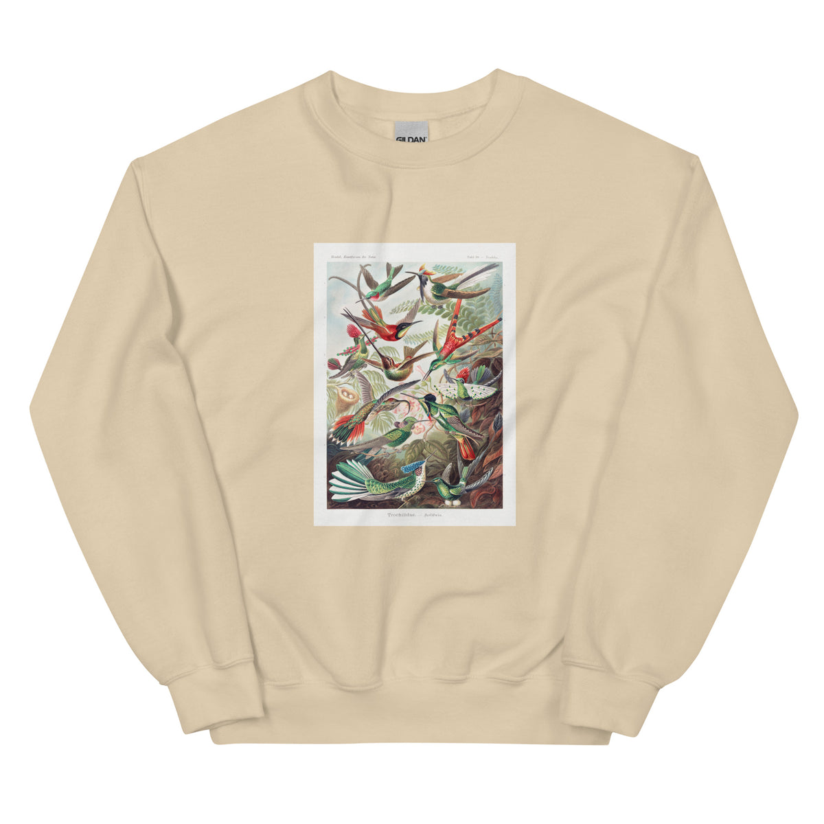 Sand Sweater Trochilidae Kolibris Essential