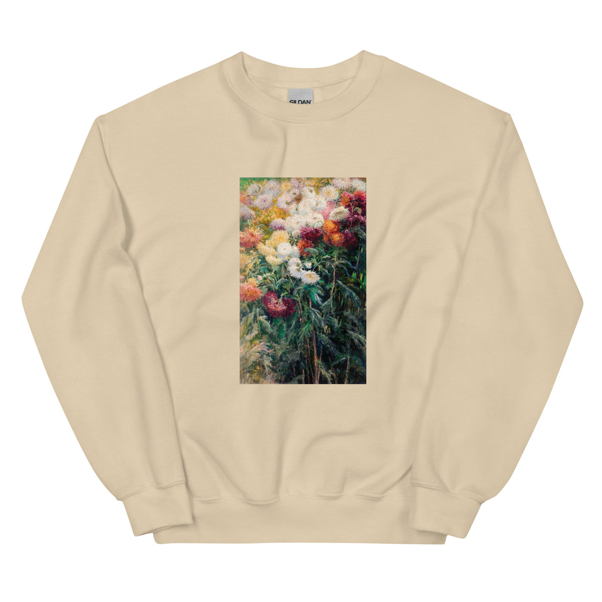 Sand Sweater Chrysanthemums In The Garden At Petit Gennevilliers Painting In High Resolution Essential