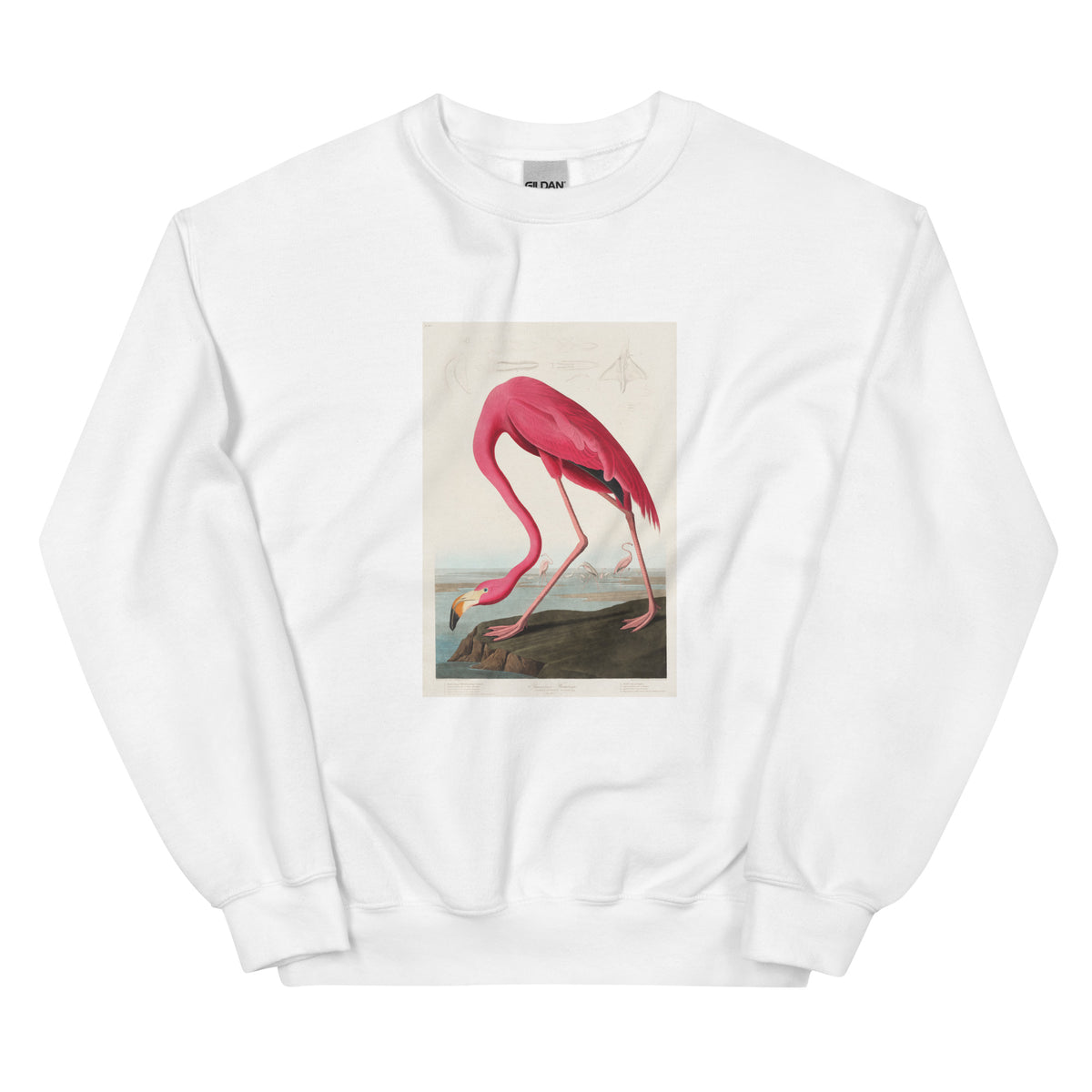 White Sweater Pink Flamingo - John James Audubon 1827 Essential