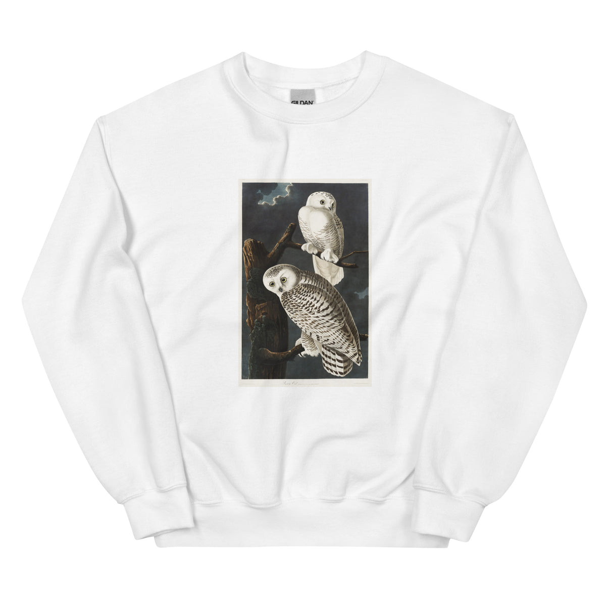 White Sweater Snowy Owl Essential