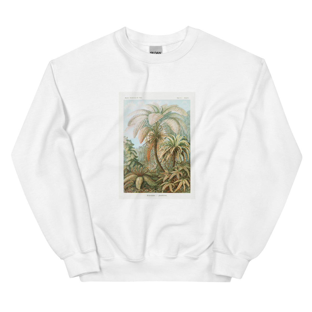White Sweater Filicinae Laubfarne Essential