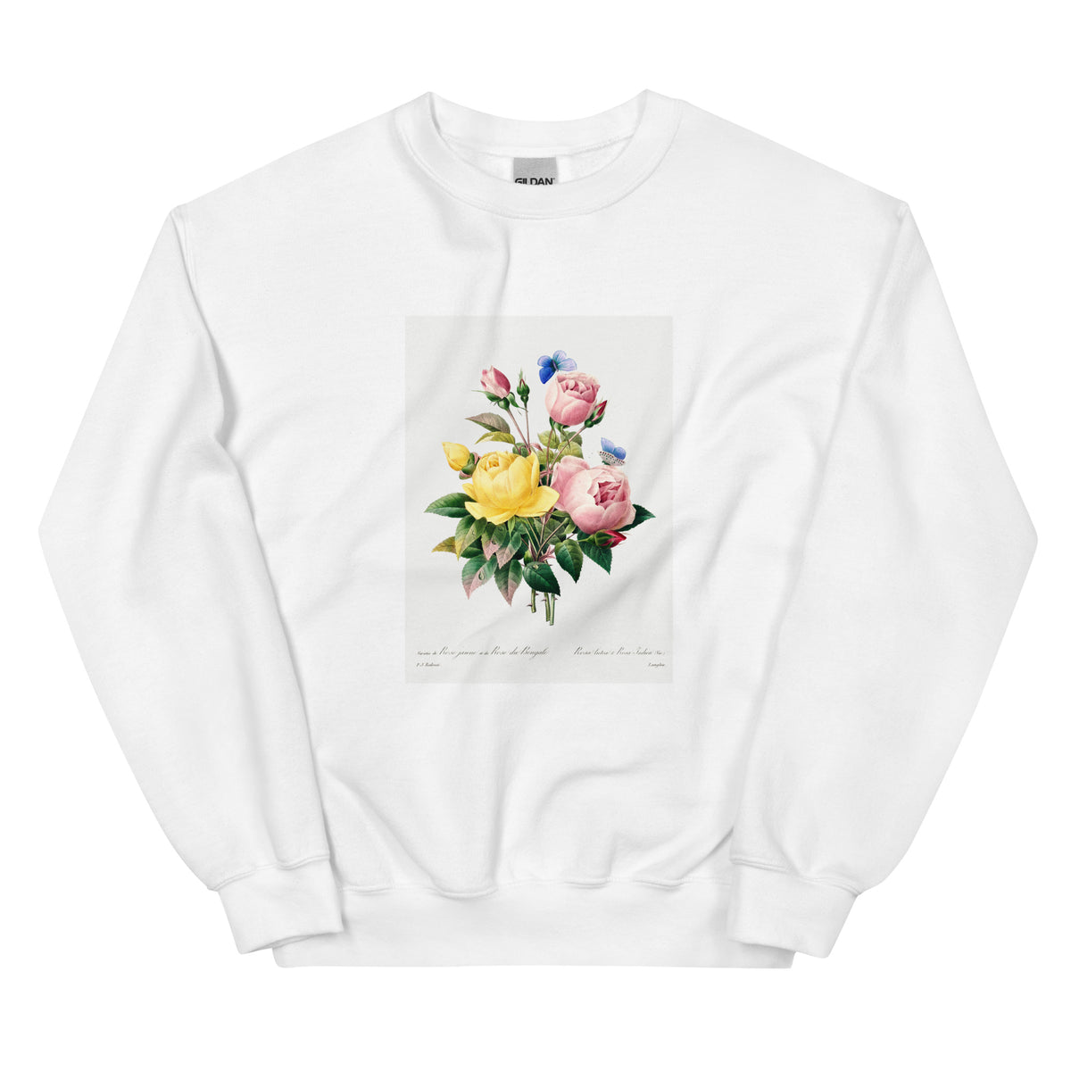 White Sweater Yellow Rose And Cabbage Rose - Pierre-Joseph Redoute 1759 Essential
