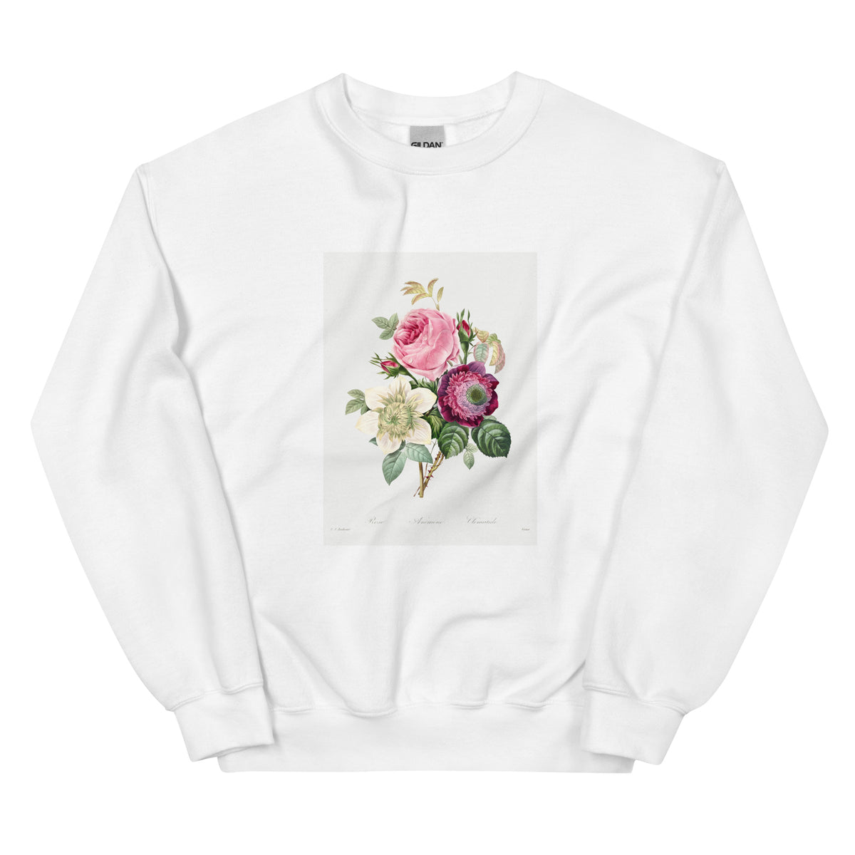 White Sweater Anemone And Cabbage Rose - Pierre-Joseph Redoute 1759 Essential