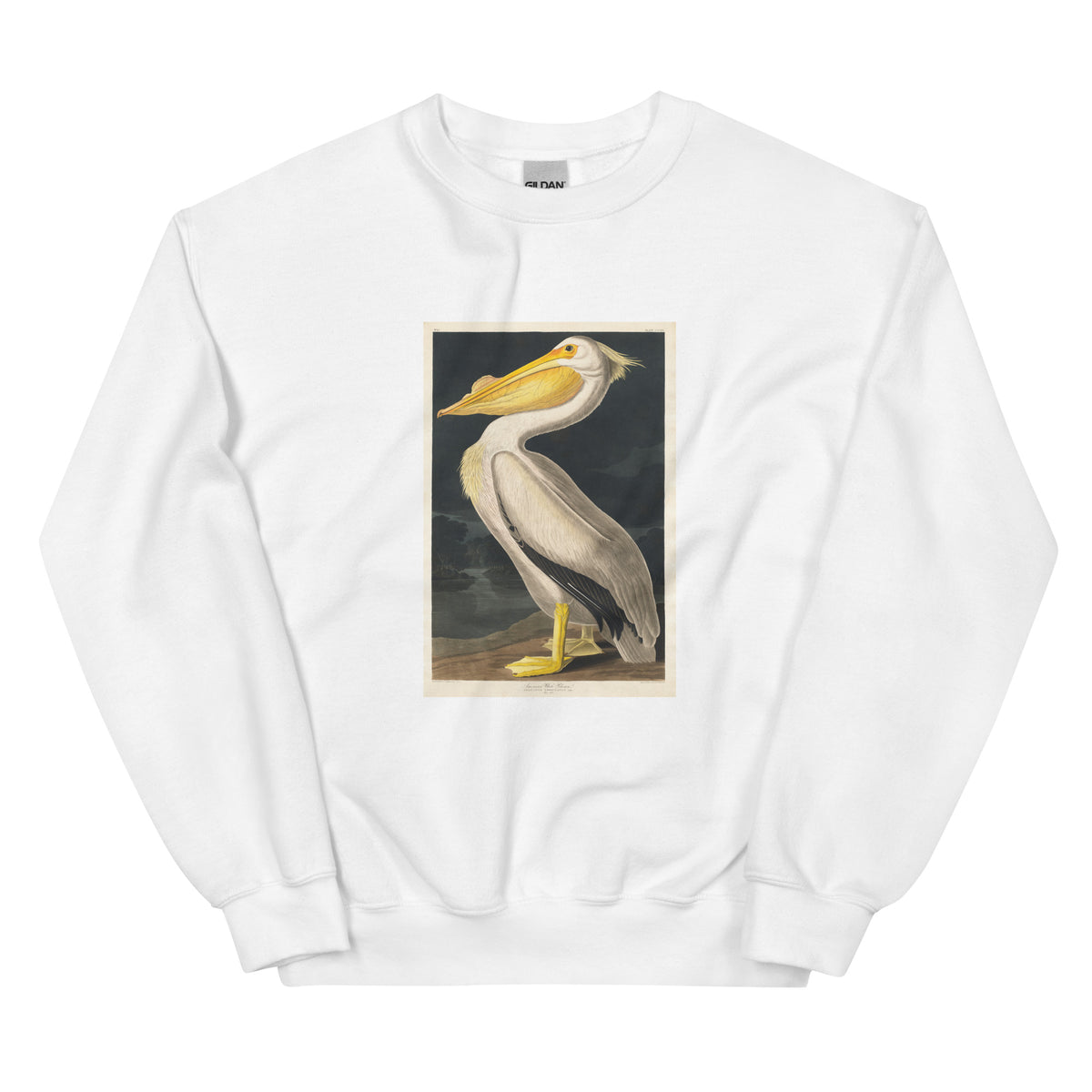 White Sweater American White Pelican Essential