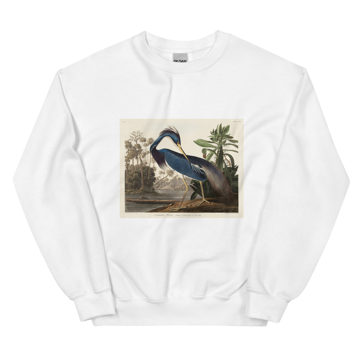 White Sweater Louisiana Heron Essential
