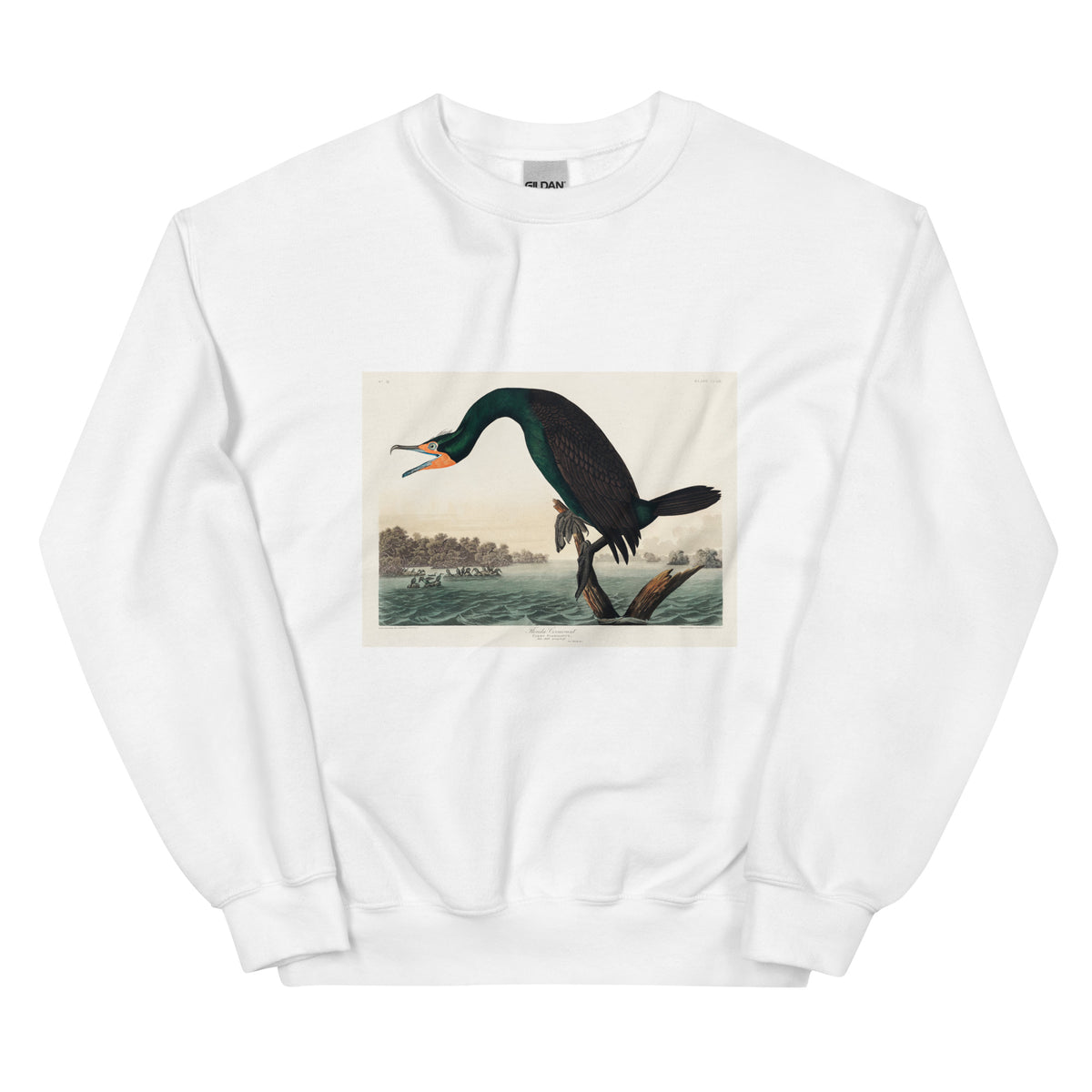White Sweater Florida Cormorant Essential