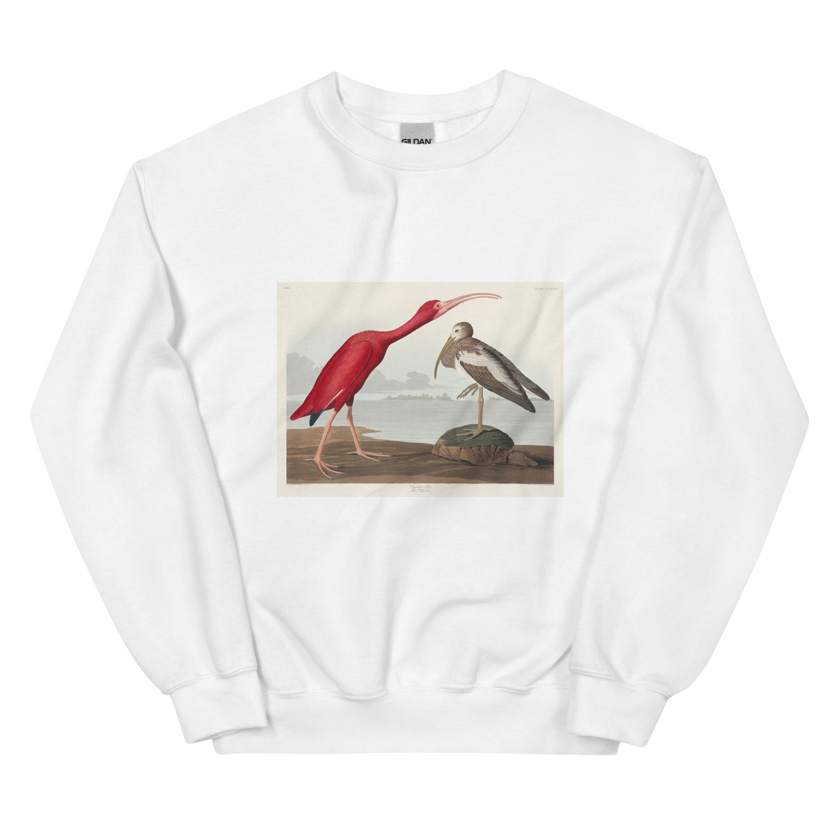 White Sweater Scarlet Ibis - John James Audubon 1827 Essential