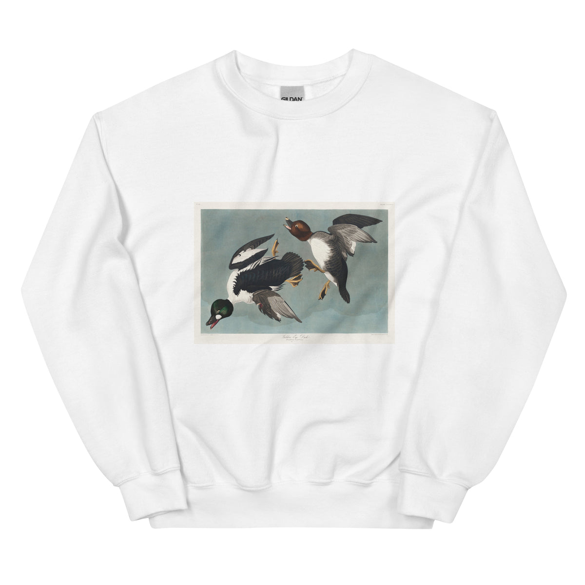 White Sweater Golden-Eye Duck Essential