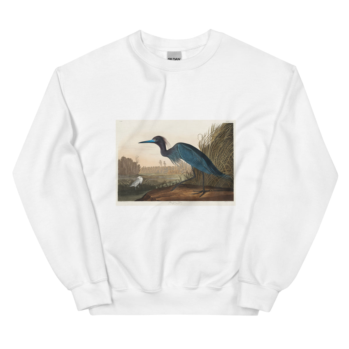 White Sweater Blue Crane Or Heron Essential