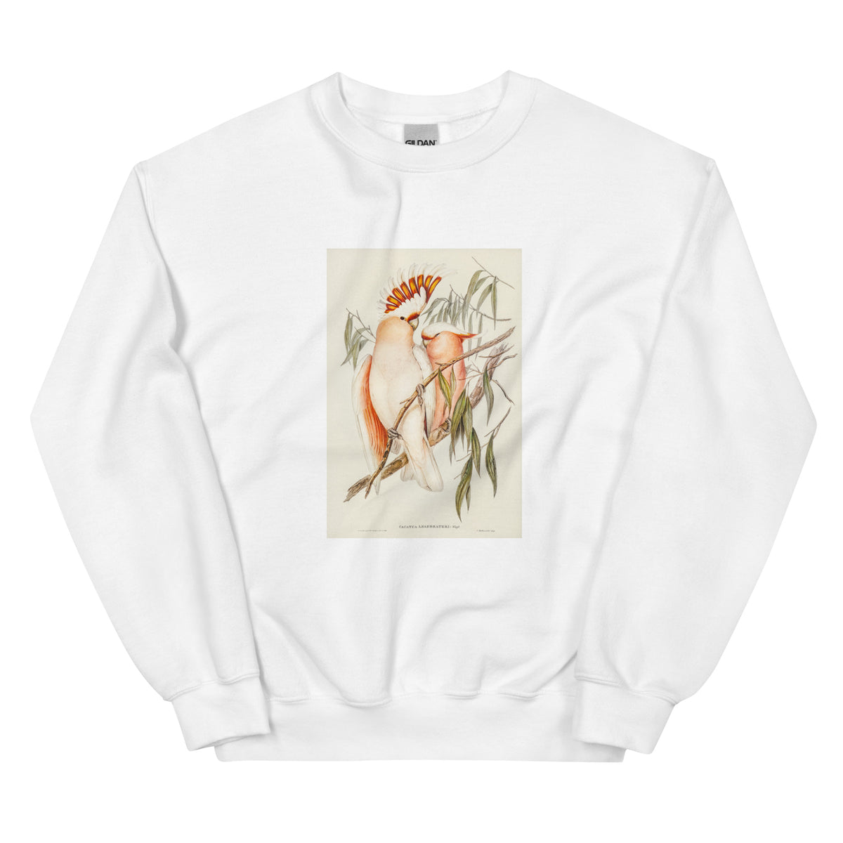 White Sweater Leadbeater S Cockatoo Cacatua Leadbeaterii Illustrated - Elizabeth Gould 1804 Essential