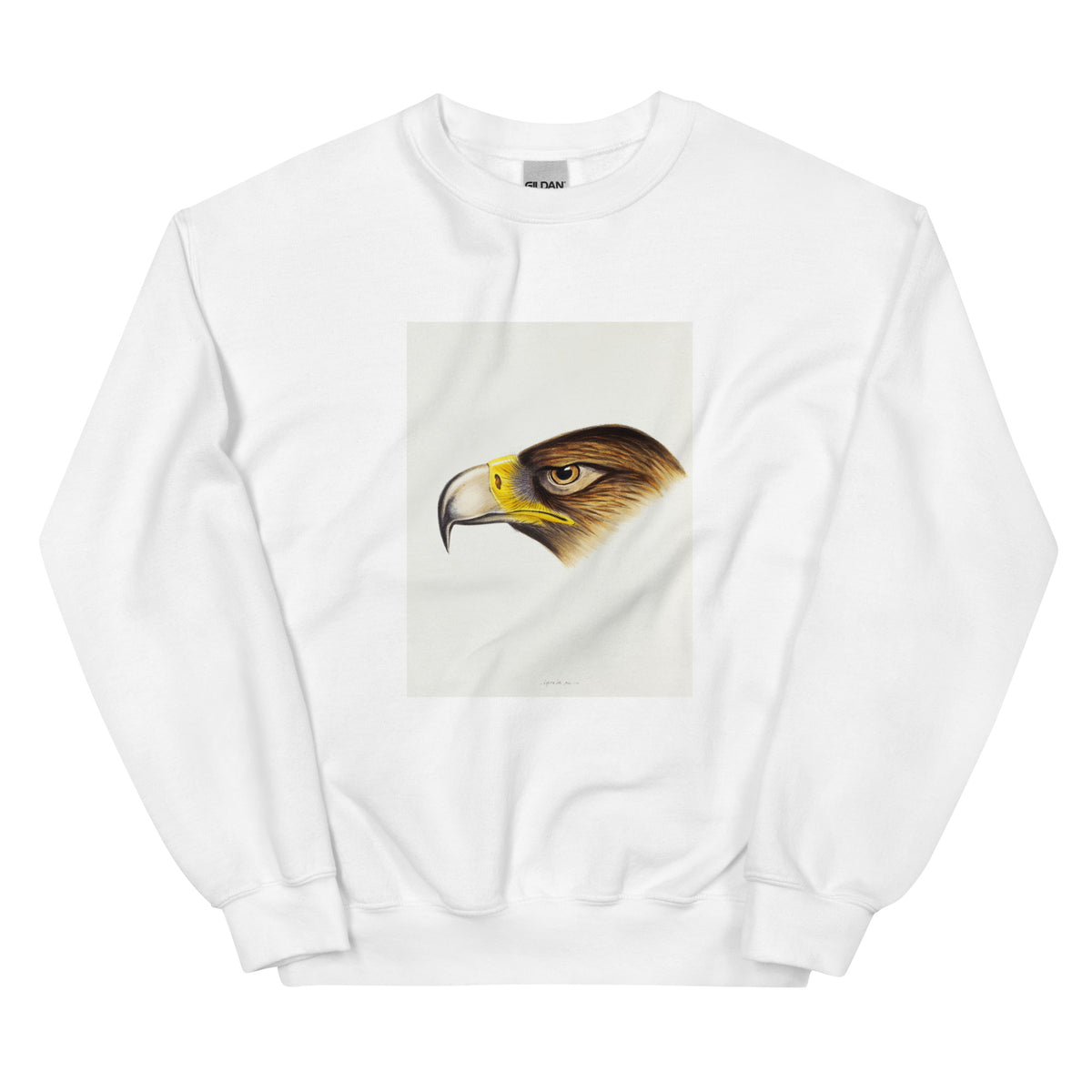 White Sweater Wedge-Tailed Eagle Aquila Fucosa Illustrated Essential