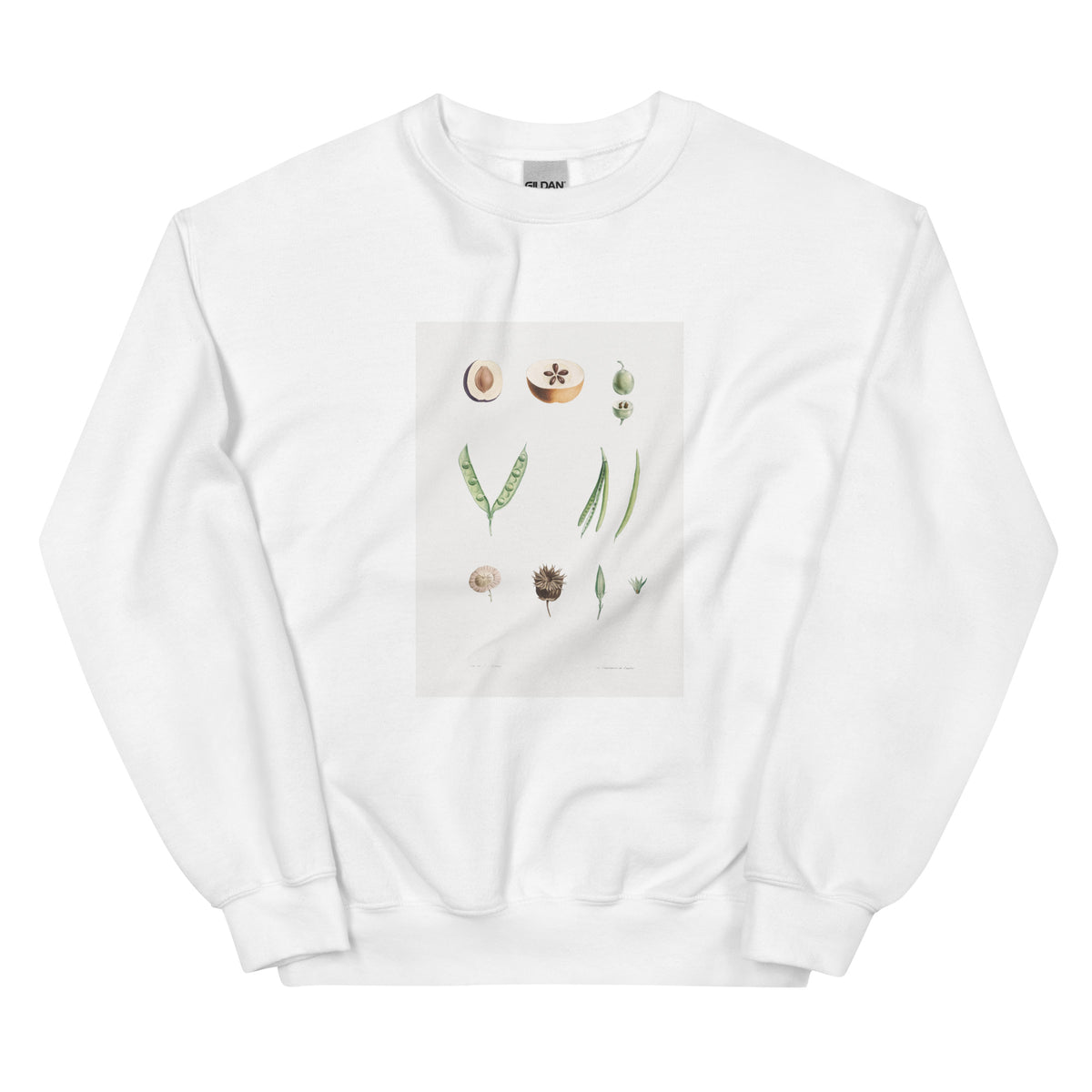 White Sweater Plants Part - Pierre-Joseph Redoute 1759 Essential