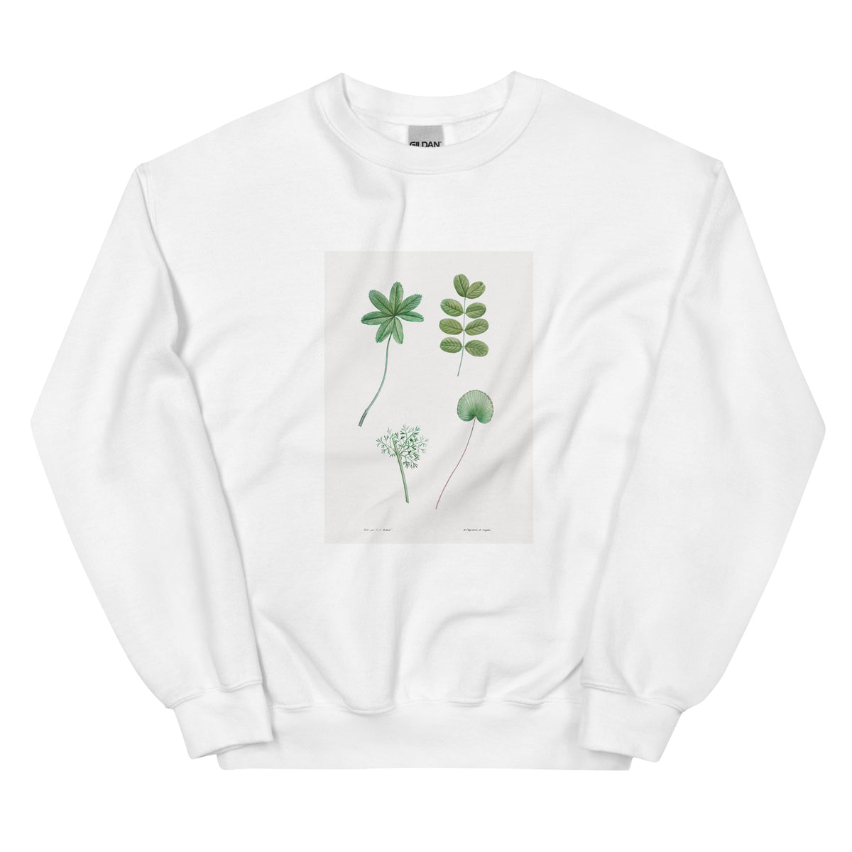 White Sweater Tree Leaf Set - Pierre-Joseph Redoute 1759 Essential
