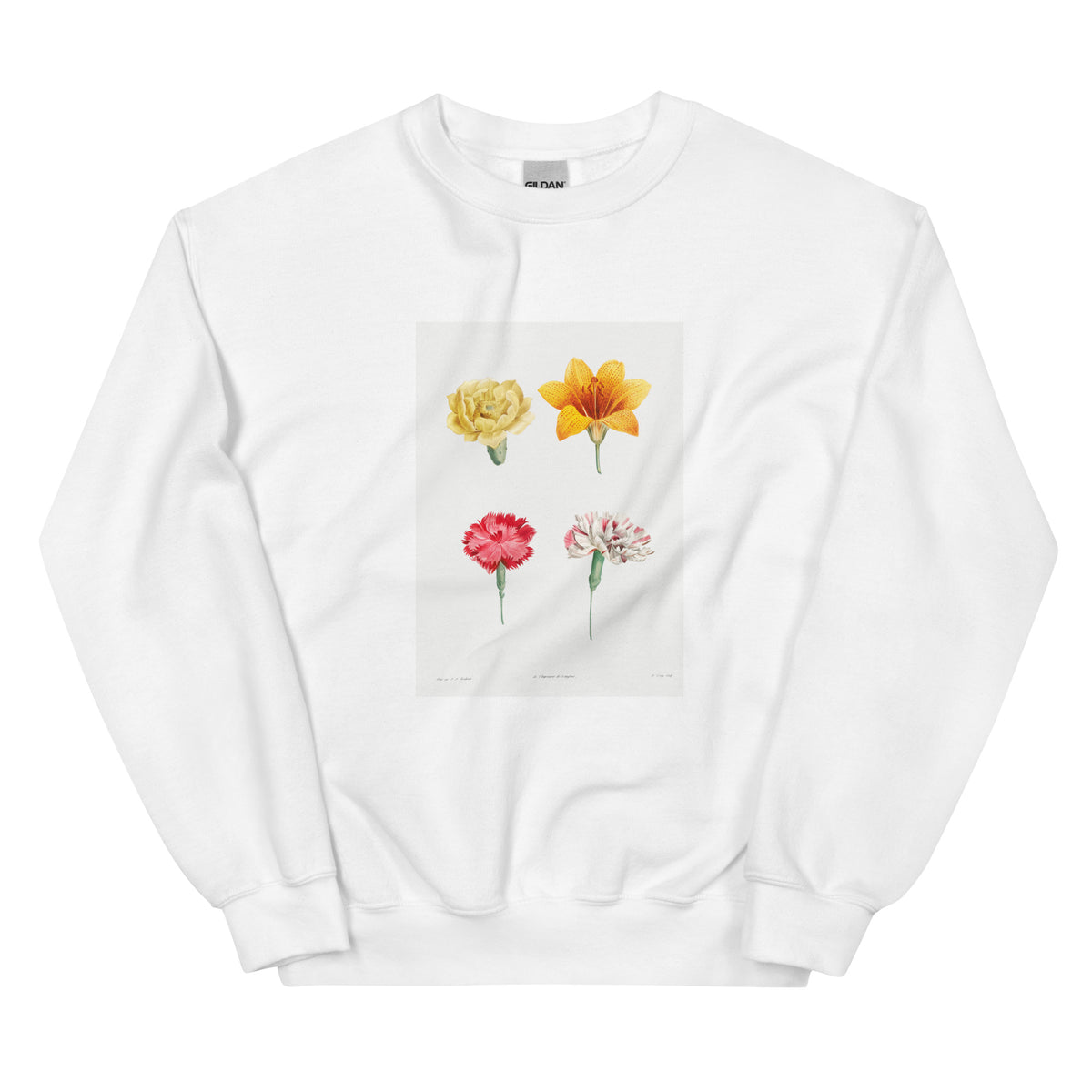 White Sweater Flower Set - Pierre-Joseph Redoute 1759 Essential