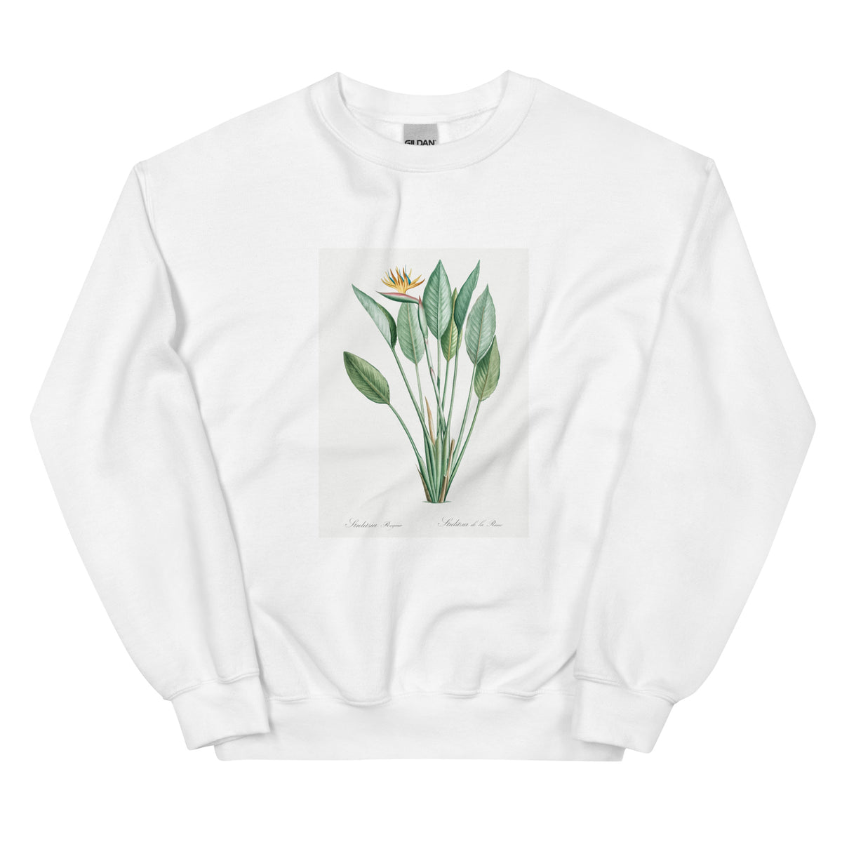 White Sweater Bird Of Paradise Illustration II Essential
