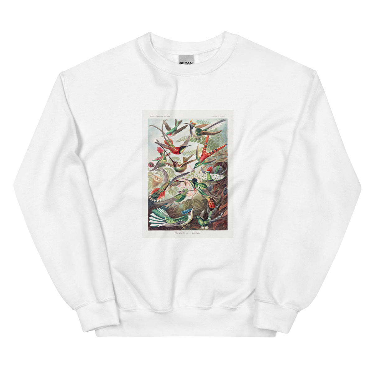 White Sweater Trochilidae Kolibris Essential