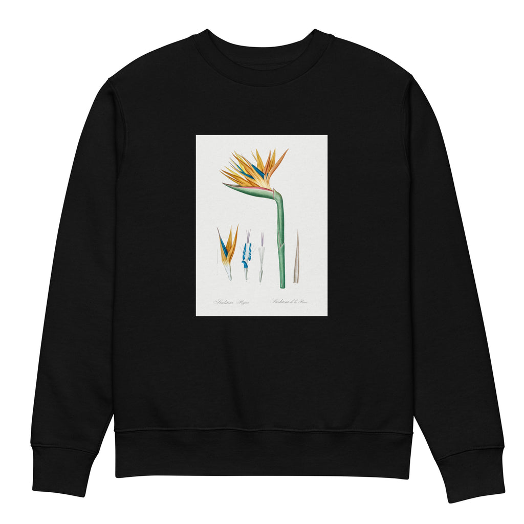 Black Sweater Bird Of Paradise Illustration Premium