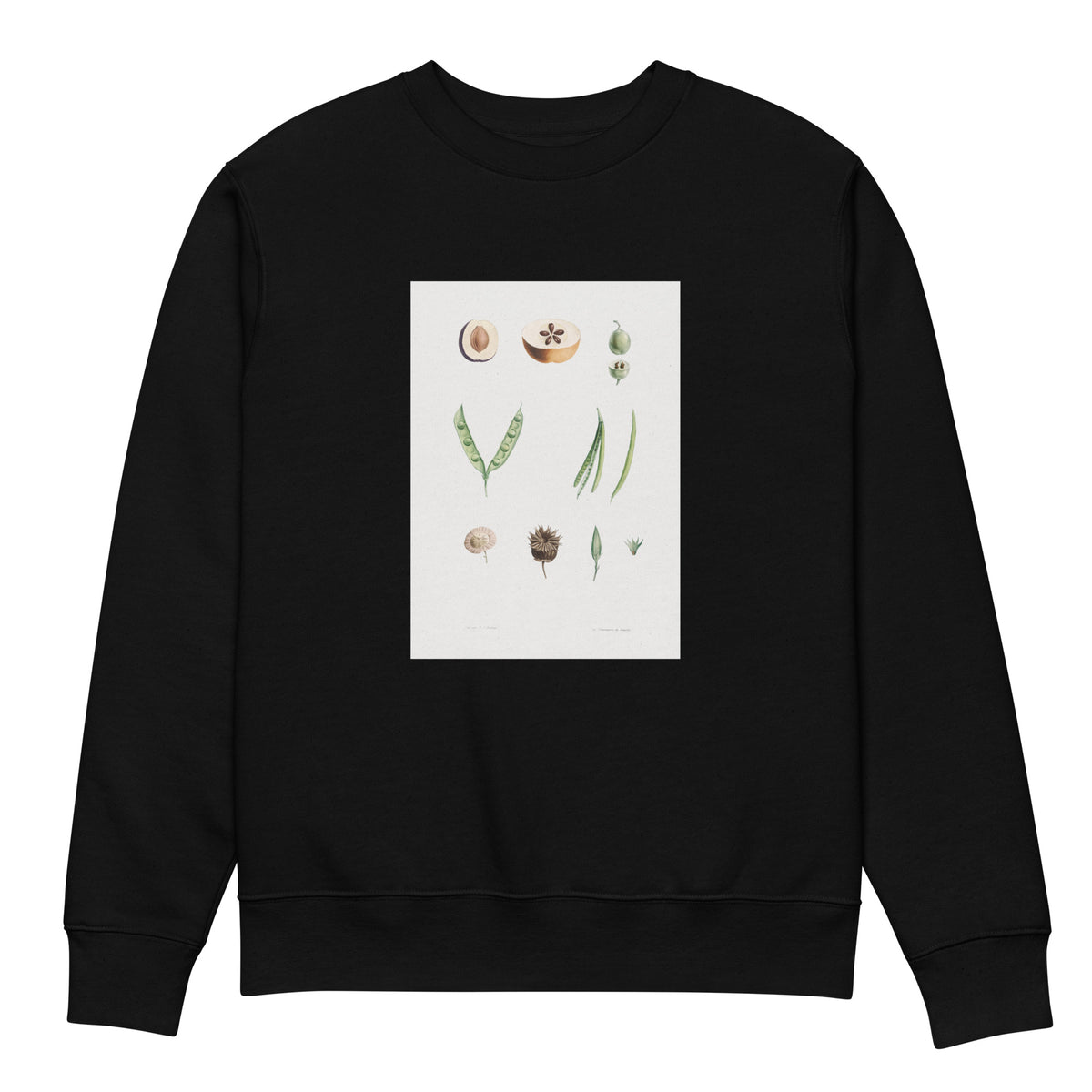 Black Sweater Plants Part - Pierre-Joseph Redoute 1759 Premium