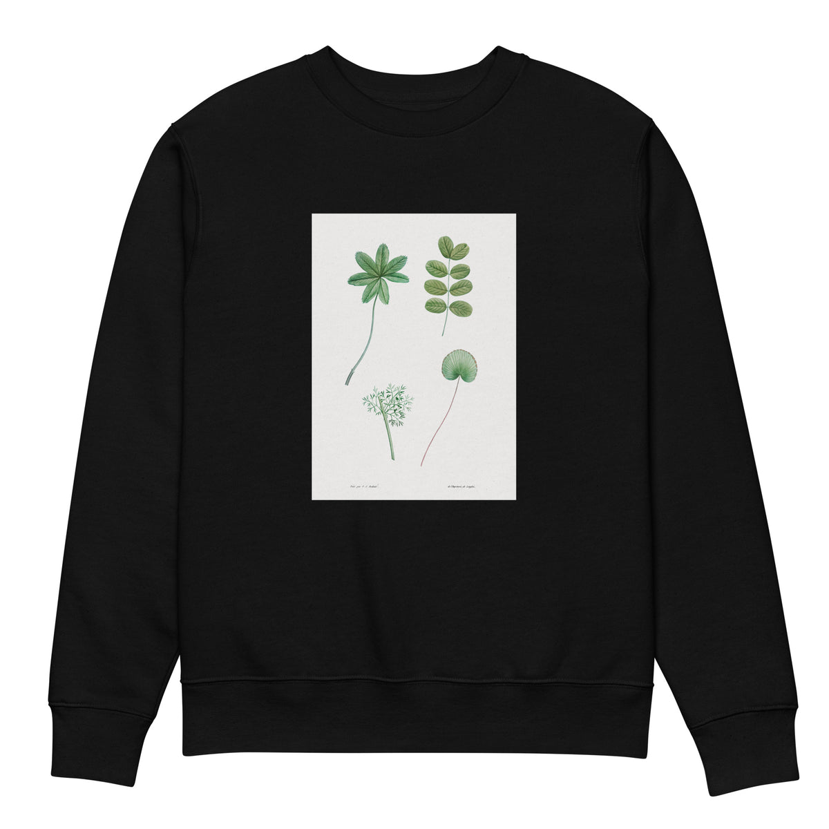 Black Sweater Tree Leaf Set - Pierre-Joseph Redoute 1759 Premium