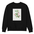 Black Sweater Flesh-Pink Multiflora Rosa Multiflora Carnea Premium