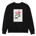 Black Sweater Gallic Rose Also Known As The Duchess Of Orleans Rosa Gallica Aurelianensis Premium