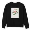 Black Sweater Boursault Rose Also Known As Rose Turbine Without Thorns Rosa Inermis Premium