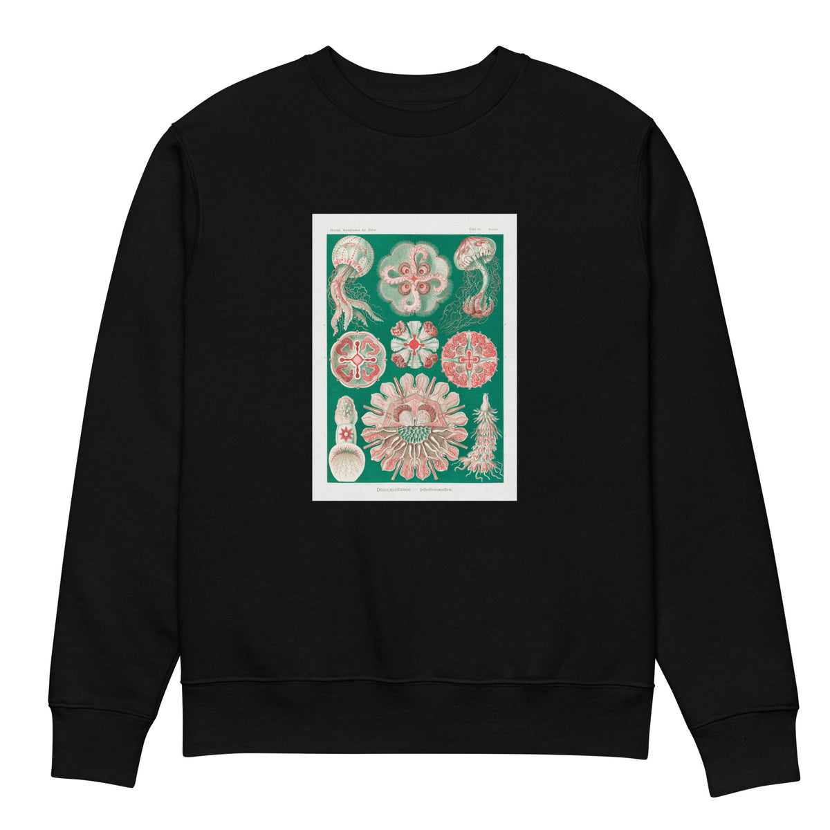 Black Sweater Discomedusae Schweibenquallen Premium