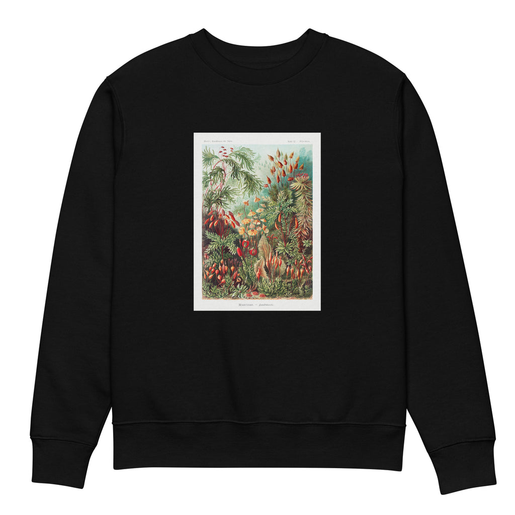 Black Sweater Muscinae Laubmoose A Giltsch Gem Premium