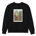 Black Sweater Muscinae Laubmoose A Giltsch Gem Premium