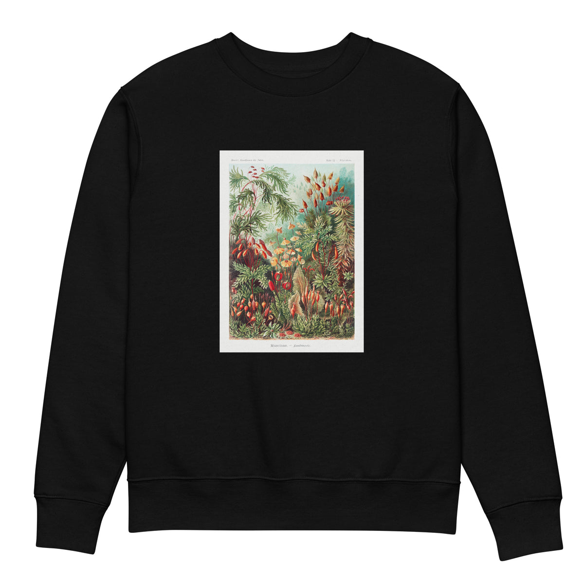 Black Sweater Muscinae Laubmoose A Giltsch Gem Premium