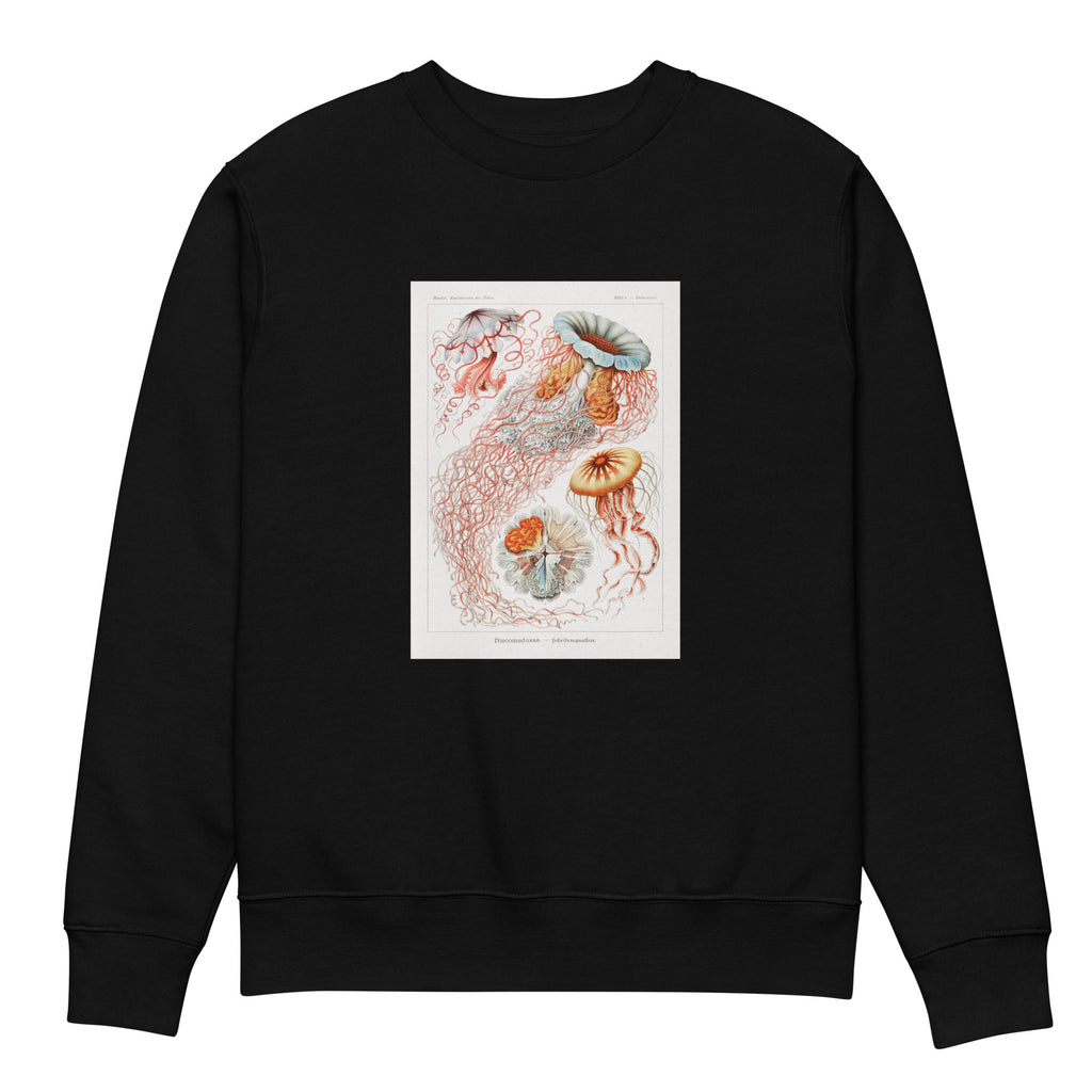 Black Sweater Discomedusae Scheibenquallen Premium