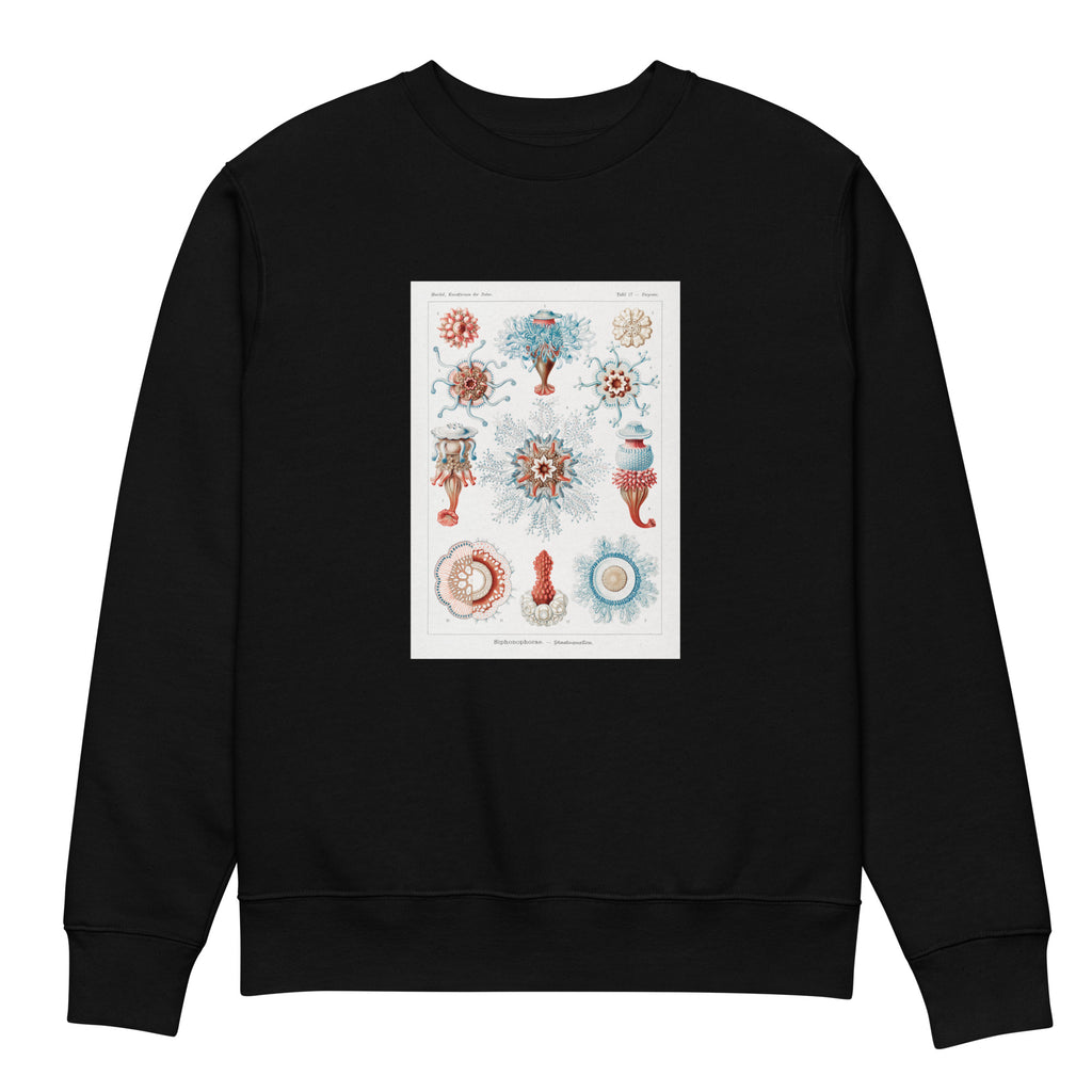 Black Sweater Siphonophorae Staatsquallen Premium