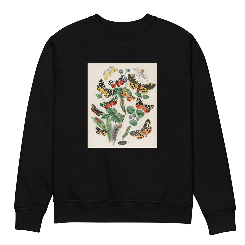 Black Sweater Illustrations - William Forsell Kirby 1882 Premium
