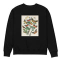 Black Sweater Illustrations - William Forsell Kirby 1882 Premium