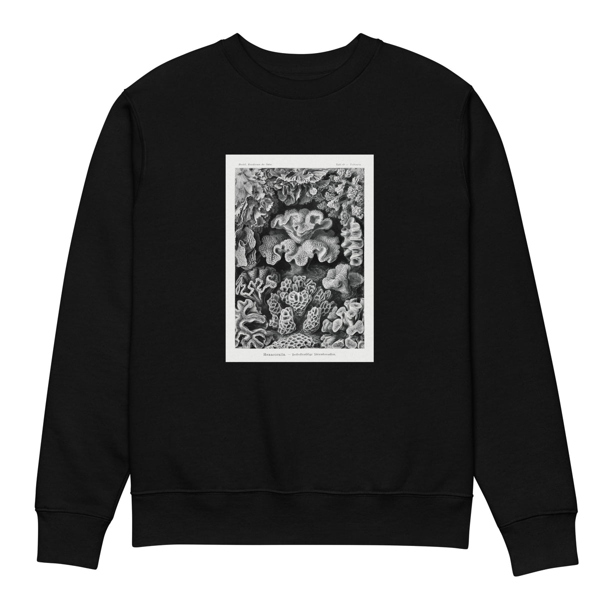 Black Sweater Hexacoralla Sechsstrahlige Sternkorallen Premium