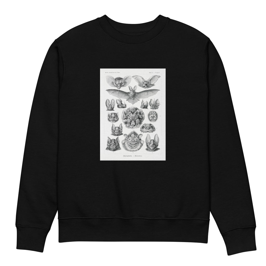 Black Sweater Chiroptera Fledertiere Premium