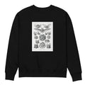 Black Sweater Chiroptera Fledertiere Premium