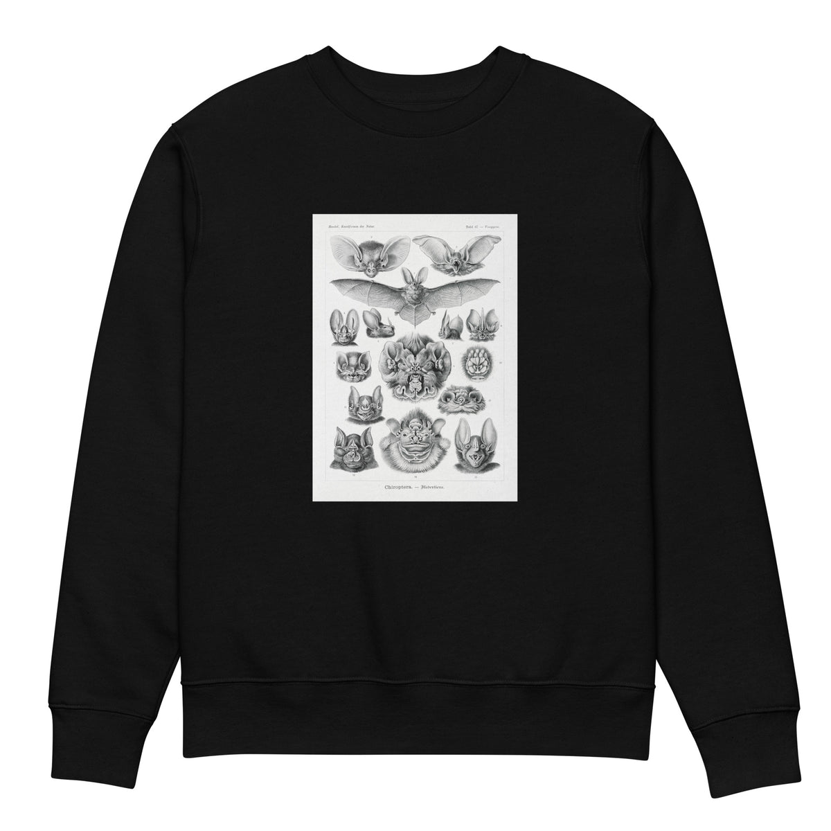 Black Sweater Chiroptera Fledertiere Premium