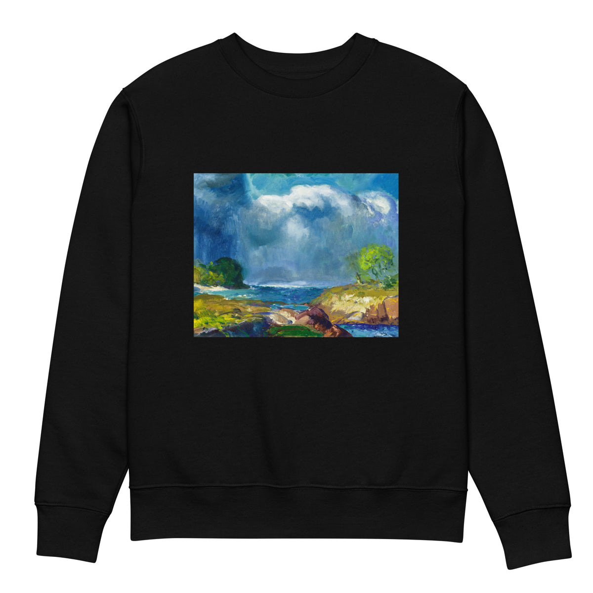 Black Sweater The Coming Storm Premium