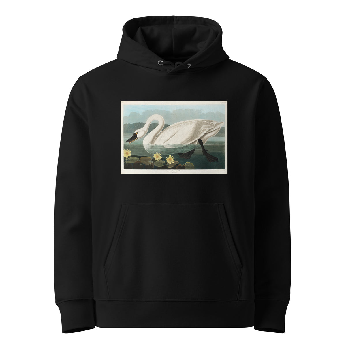 Black Hoodie Common American Swan - John James Audubon 1827 Premium