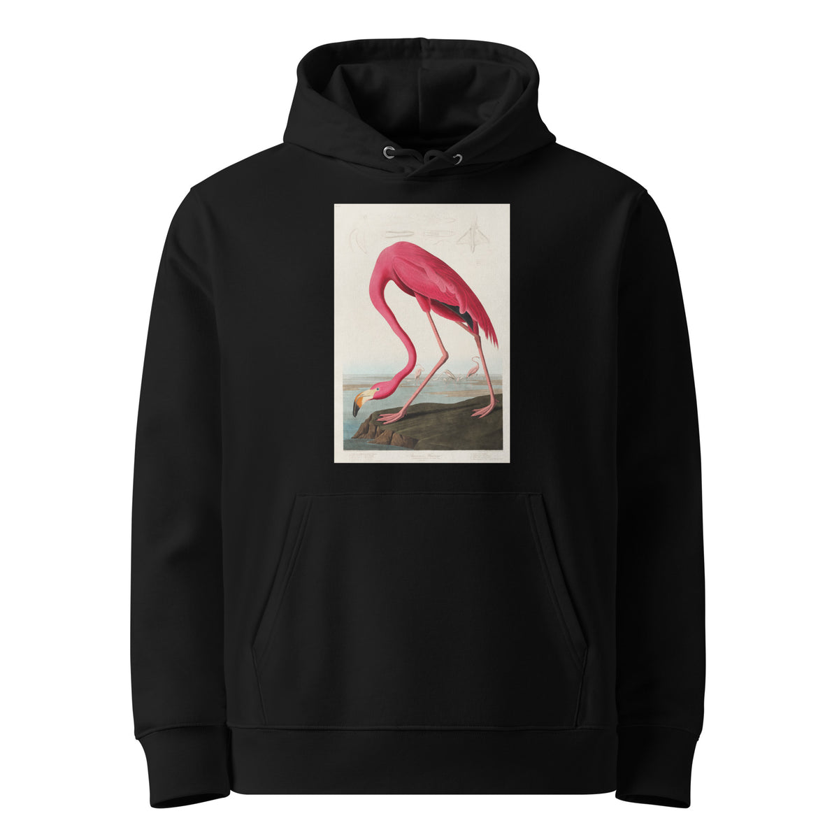 Black Hoodie Pink Flamingo - John James Audubon 1827 Premium