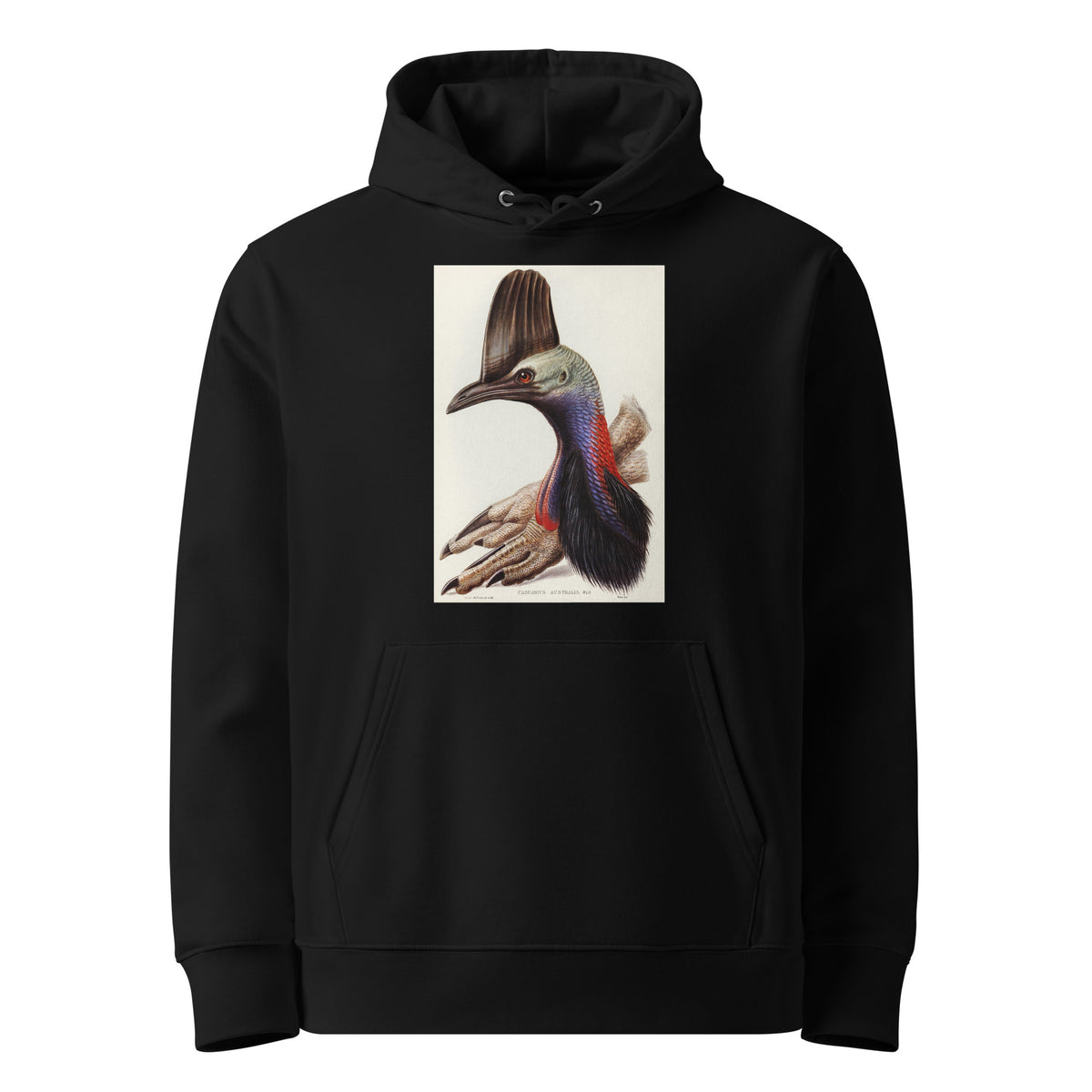 Black Hoodie Australian Cassowary Casuarius Australis Illustrated - Elizabeth Gould 1804 Premium